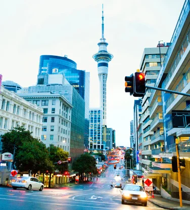 Top New Zealand Study Visa Consultant in Chandigarh Page Image