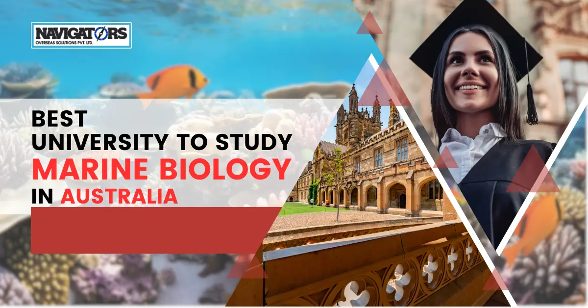 Best University to Study Marine Biology in Australia